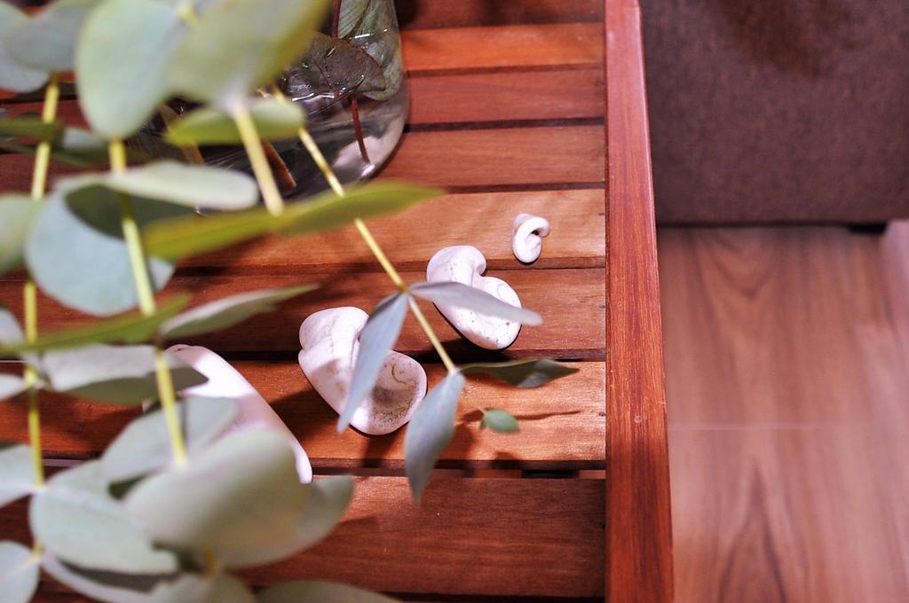 Apartamento En La Rambla Con Piscina Σάντα Κρουζ Τενερίφης Εξωτερικό φωτογραφία